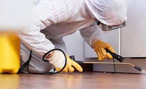 Best Real Estate Pest Inspections  in Keasbey, NJ